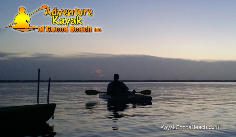 Bioluminescent Kayaking Guide