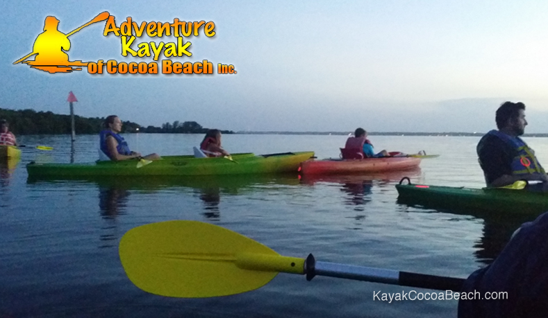 BioluminescentKayakingwithManatee