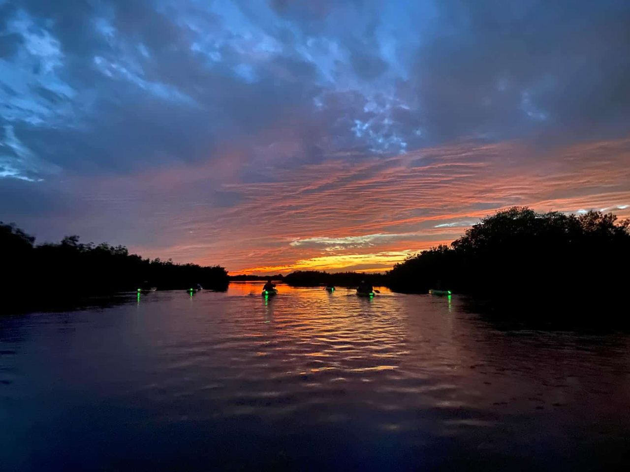 Where to See Bioluminescence in Florida