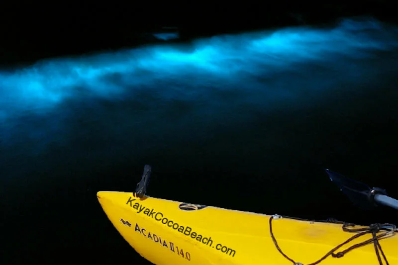 Bioluminescent Kayak Tours