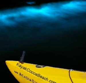 Bioluminescent Kayak Tours in Cocoa Beach
