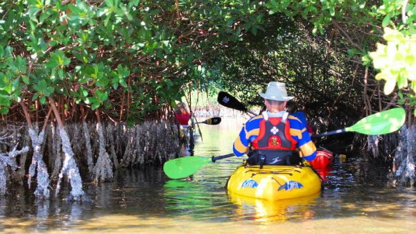 Kayaking Cocoa Beach Mangrove Tunnels