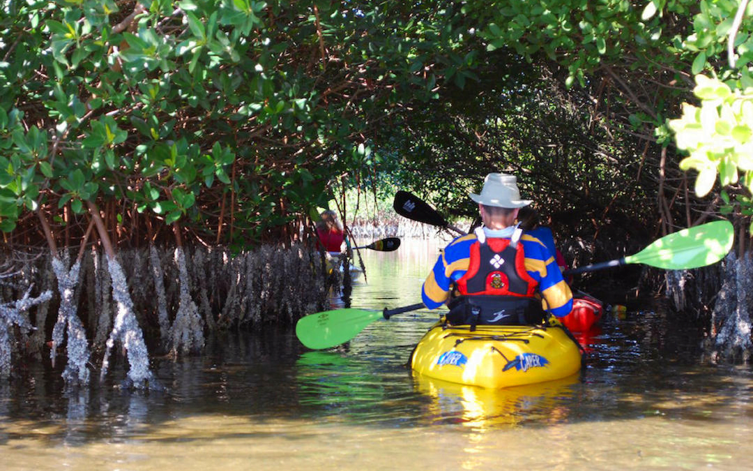 Essential Tips For First-Time Paddlers