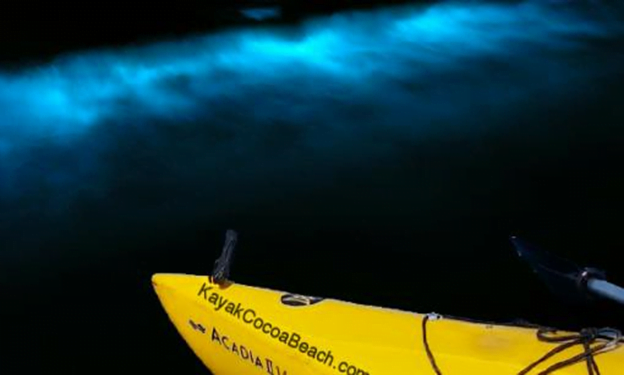 Bioluminescent-waves Bioluminescent waves visible at night.