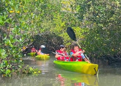 Kayak Tour in Thousand Islands Mangrove Tunnels