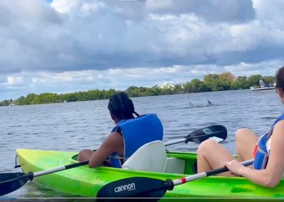 Indian River Lagoon Dolphin Encounter