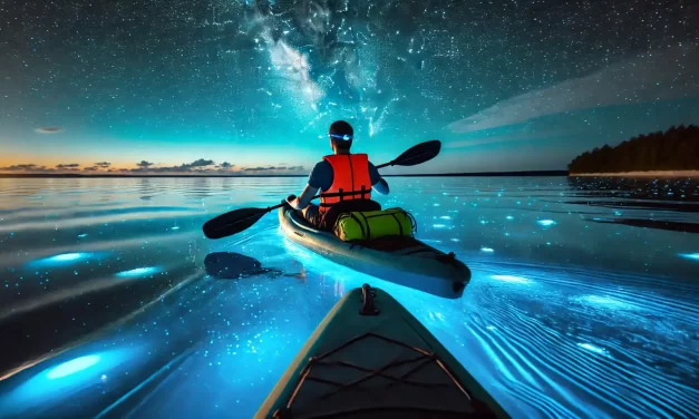 Top Tips for Kayaking in Bioluminescent Waters