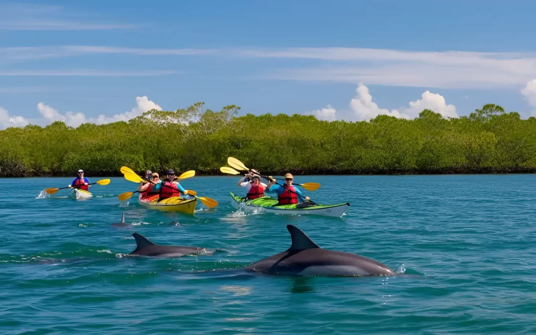 Take a Kayak Tour Before or After a Cruise