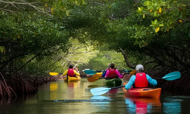 Top 10 Instagrammable Spots in Cocoa Beach for Stunning Photos