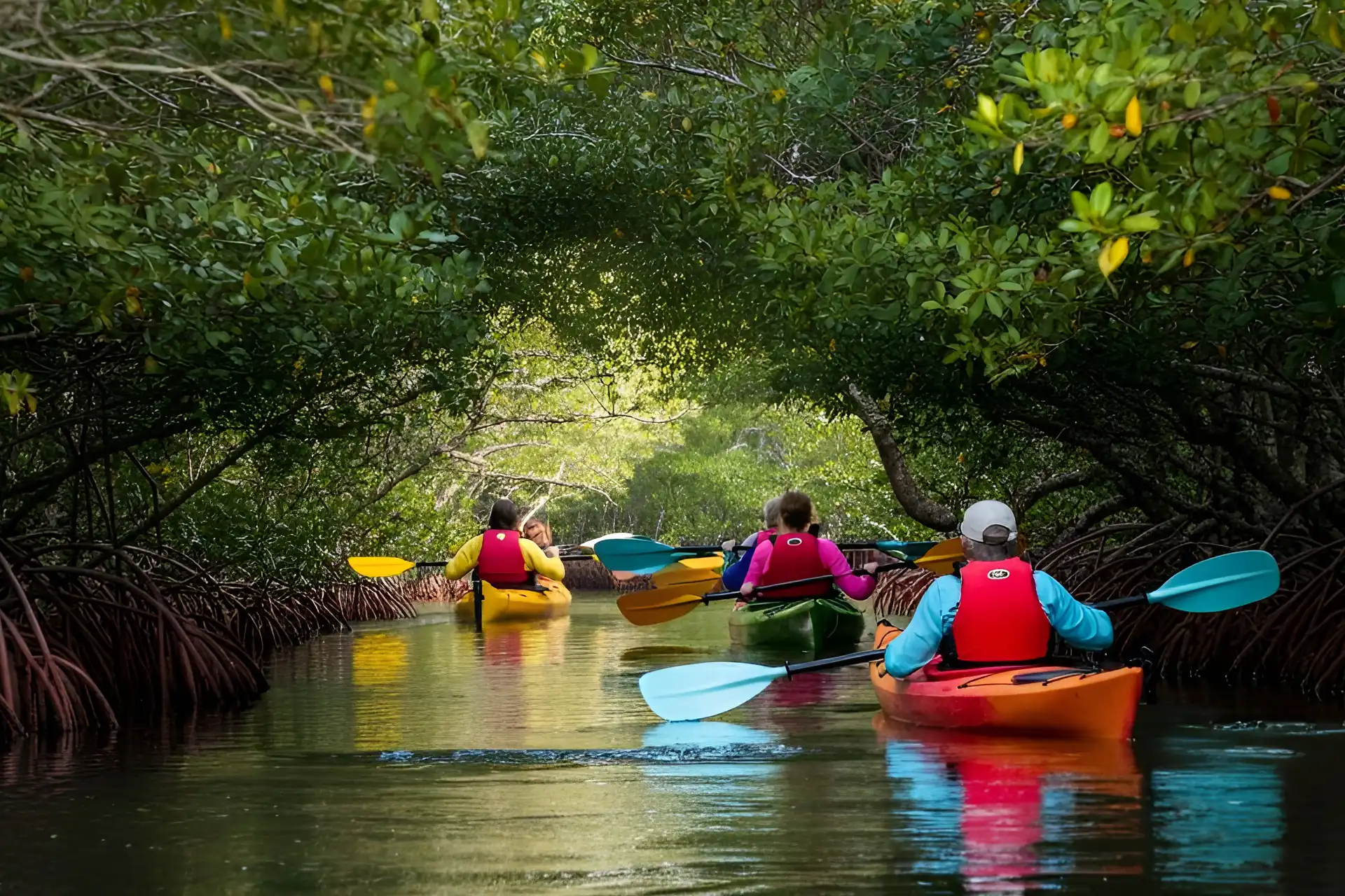 Kayaking the Thousand Islands Conservation Area Kayaking the Thousand Islands Conservation Area