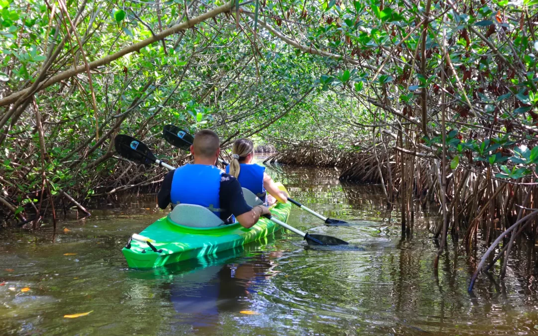 What to Expect on Our Cocoa Beach Kayak Tour