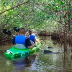 What to Expect on Our Cocoa Beach Kayak Tour