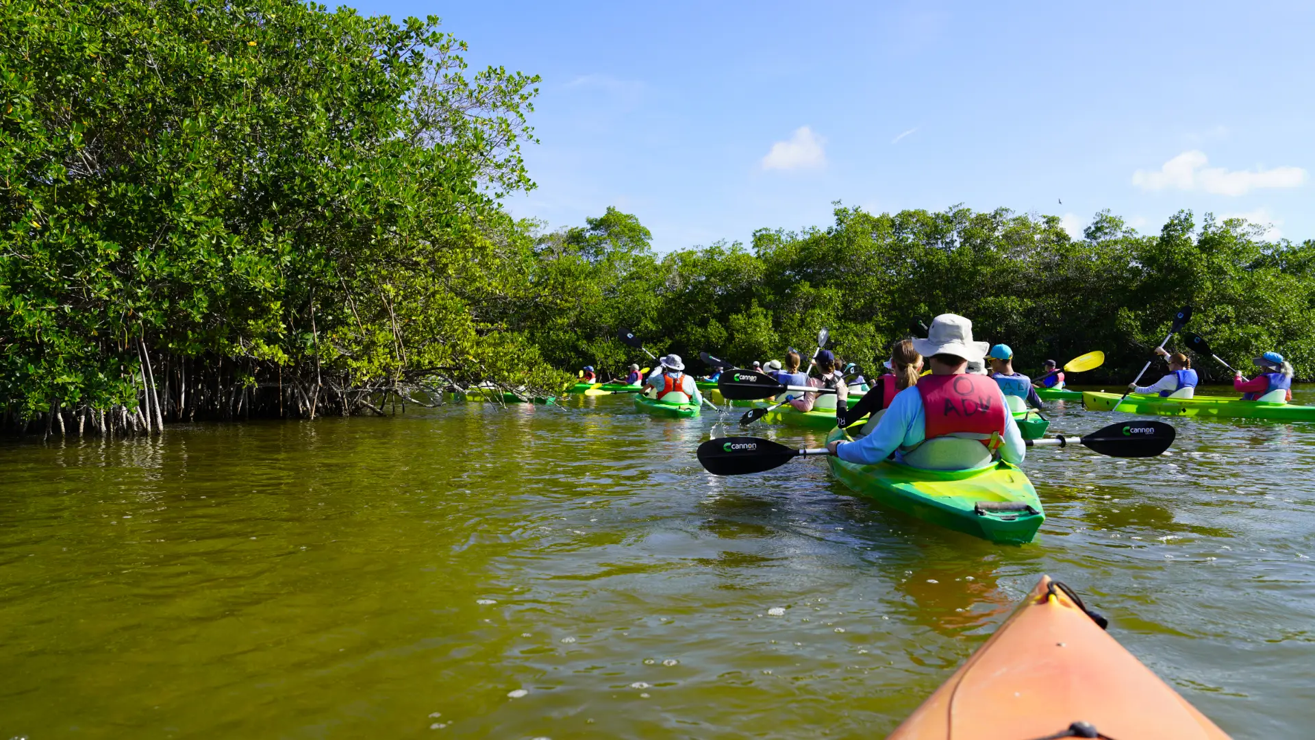 Winter Cocoa Beach Kayaking Tours