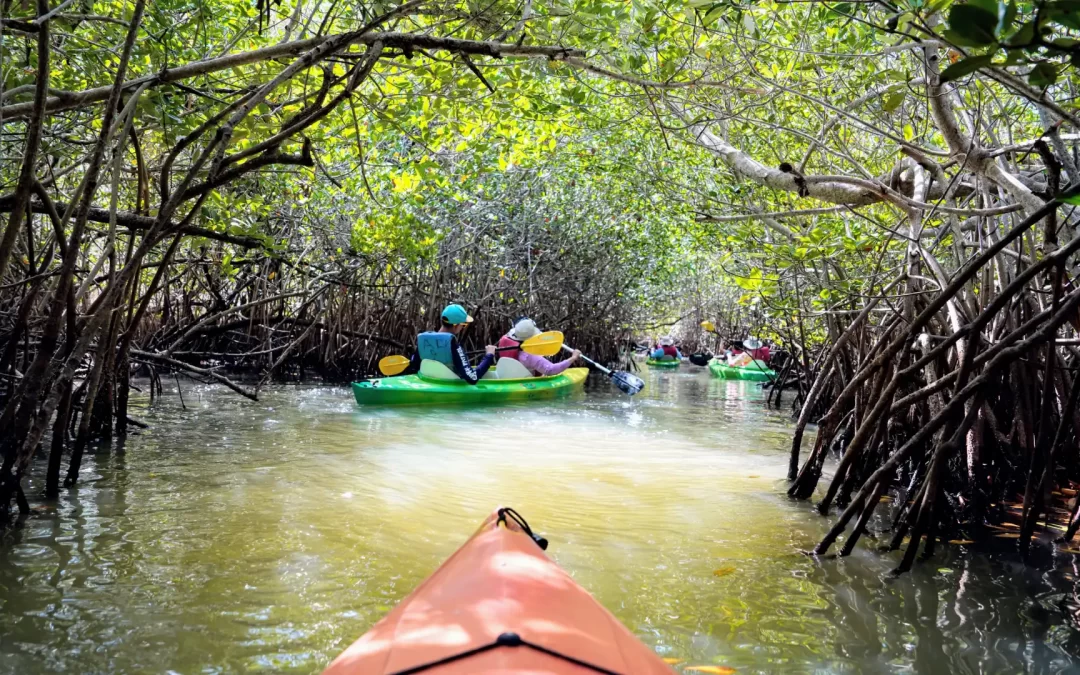 Kayaking Near Orlando