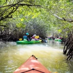 Kayaking Near Orlando
