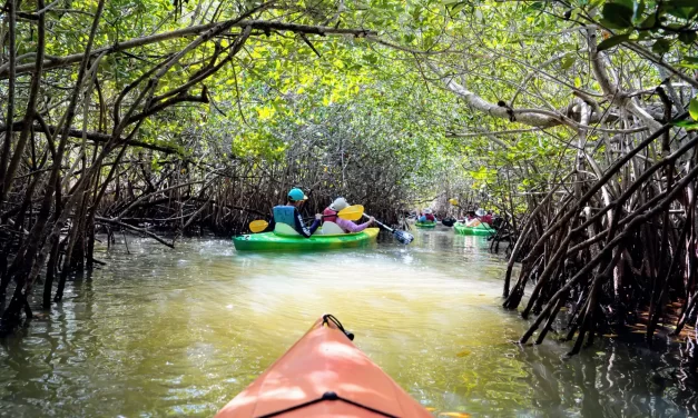 Kayaking Near Orlando
