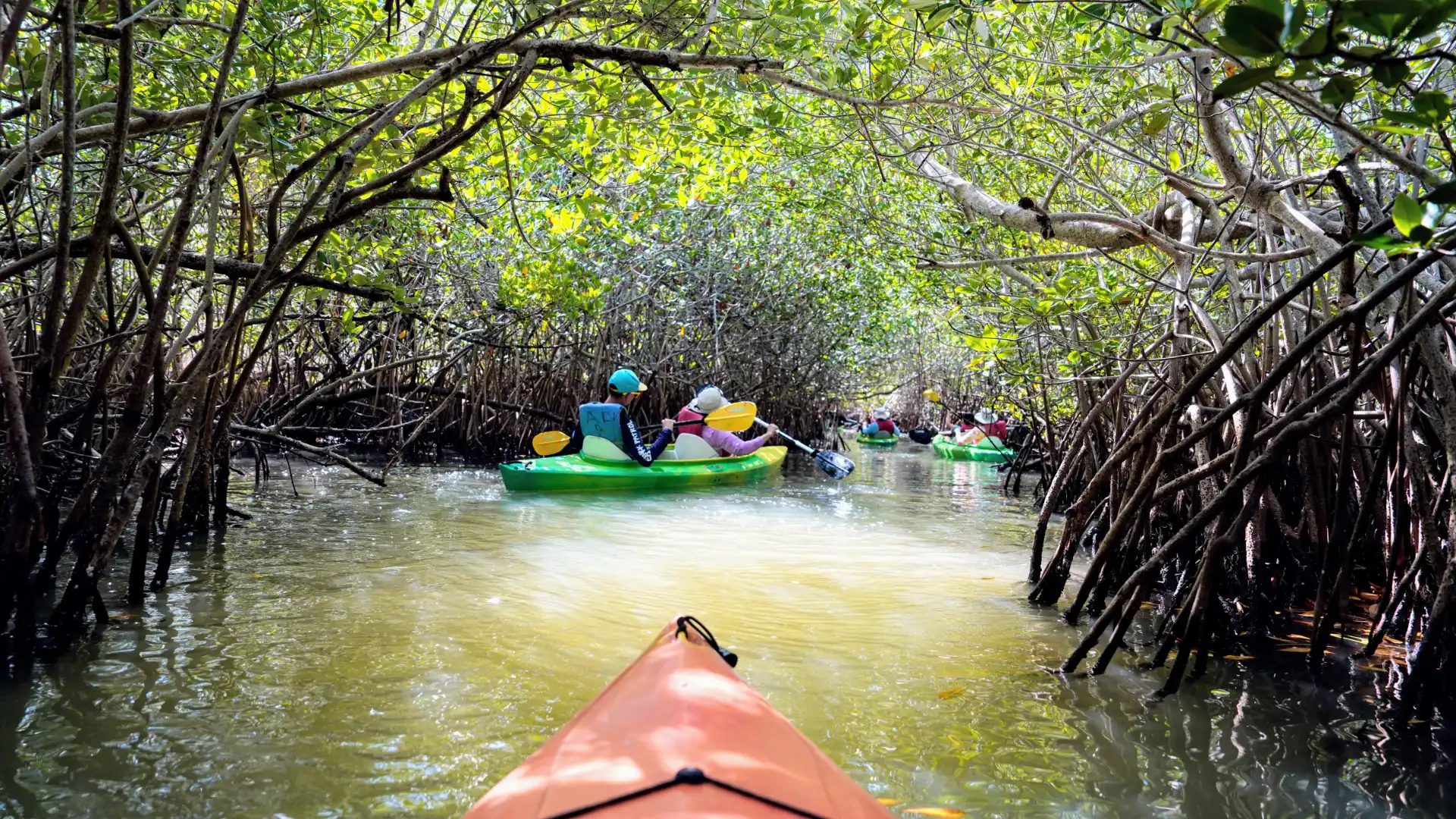 Cocoa Beach Kayaking Tour Near Orlando Florida Cocoa Beach Kayaking Tour Near Orlando Florida
