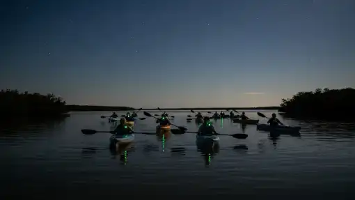 Kayaking Night Tours in Cocoa Beach Thousand Islands Area